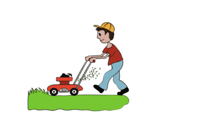 Choosing the Best Mower for Your Lawn