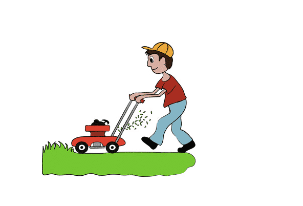 Choosing the best Mower for your yard